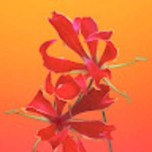 Meet your Posher, Natalia